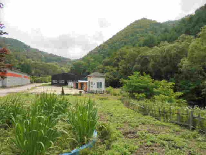 충청북도 괴산군 2025타경51369 공장경매 현장 이미지 3
